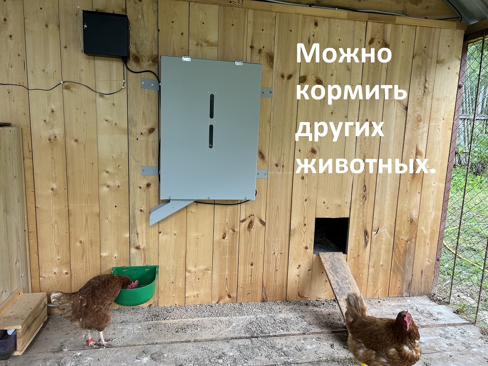 автоматическая кормушка для лошадей